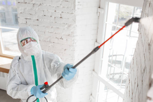 Ladonia, AL Mold Removal Company