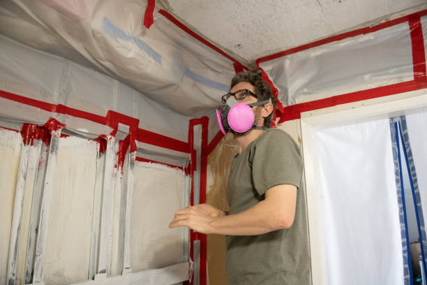 Best Mold Removal for HVAC Installations  in Ladonia, AL