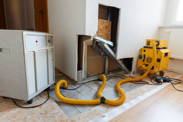 Mold Removal for HVAC Installations in Ladonia, AL