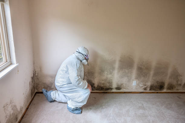 Best Forensic Mold Investigation  in Ladonia, AL